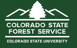 Logo of Colorado State Forest Service