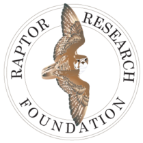 Logo of Raptor Research Foundation