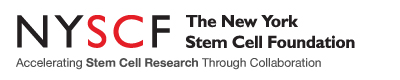 Logo of New York Stem Cell Foundation