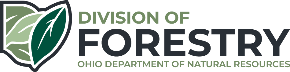 Logo of Ohio Department of Natural Resources - Division of Forestry