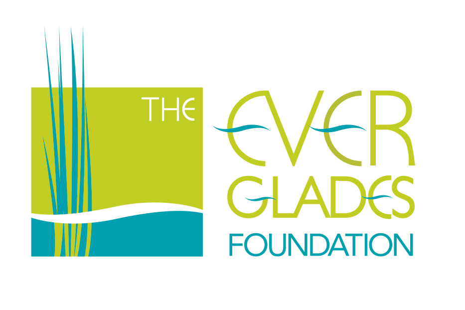 Logo of Everglades Foundation