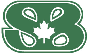 Logo of Spina Bifida and Hydrocephalus Association of Canada