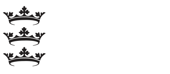 Logo of Hull City Council