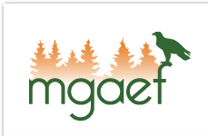 Logo of Melinda Gray Ardia Environmental Foundation