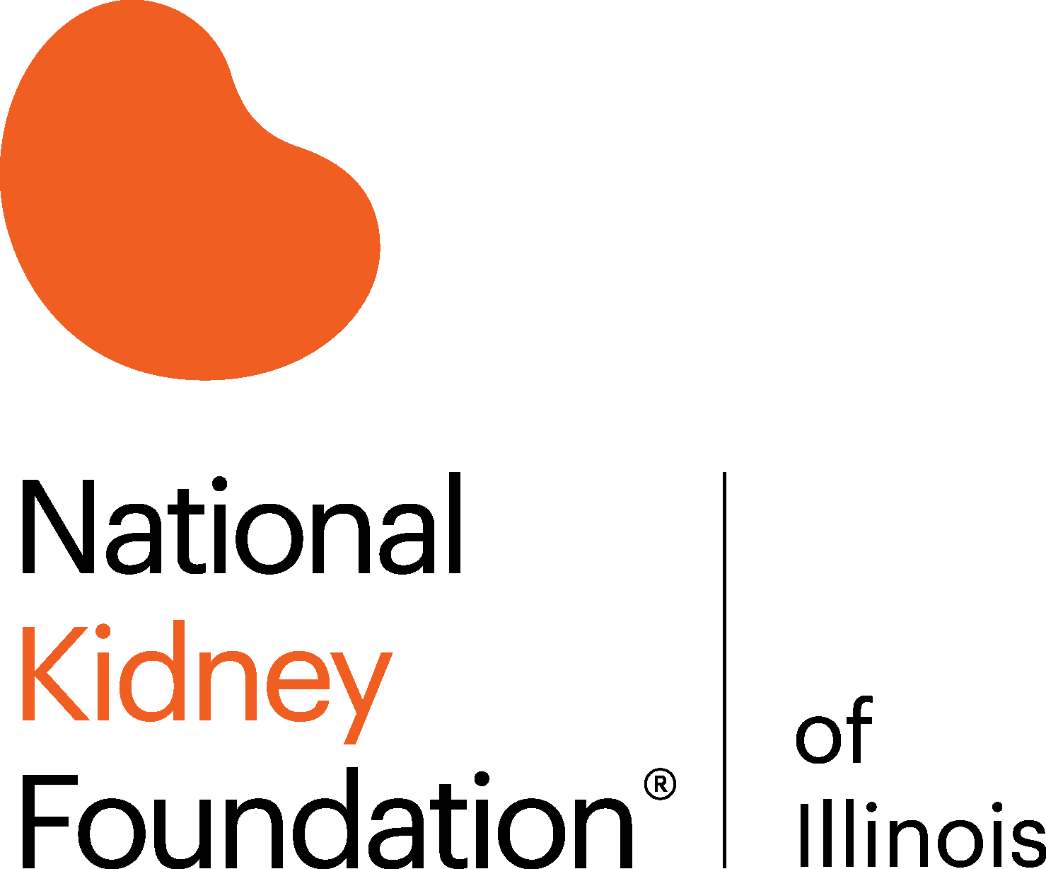 Logo of National Kidney Foundation of Illinois
