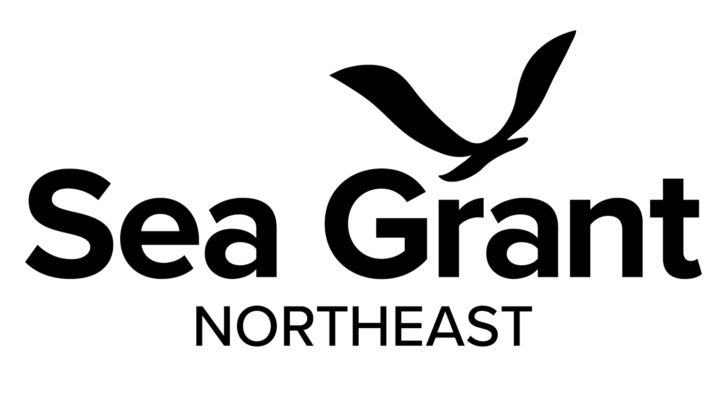 Logo of Northeast Sea Grant Consortium