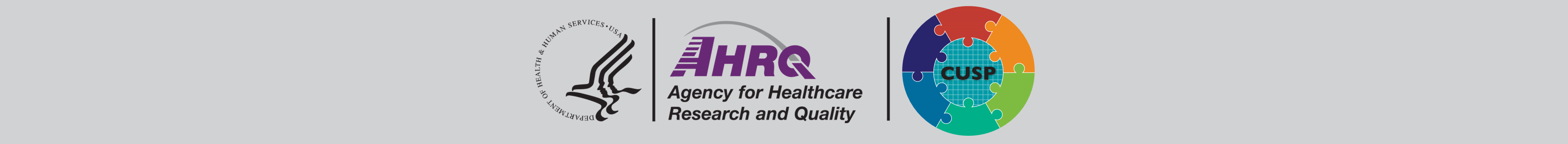 Logo of Agency for Healthcare Research and Quality Safety Program for Telemedicine