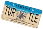 Logo of Sea Turtle License Plate