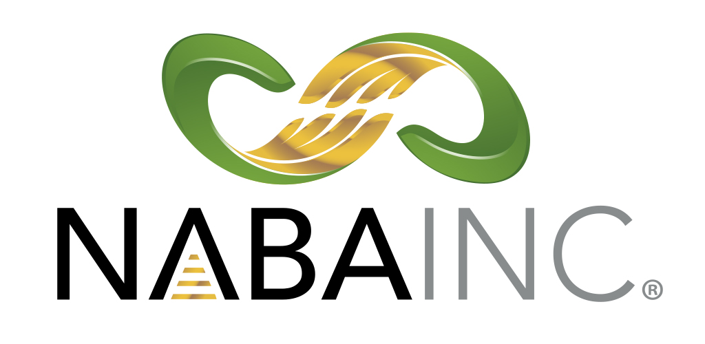 Logo of National Association of Black Accountants - Research Triangle Park Chapter