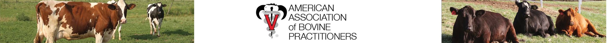 Logo of American Association of Bovine Practitioners
