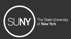 Logo of State University of New York