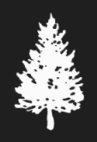 Logo of Cedar Tree Foundation