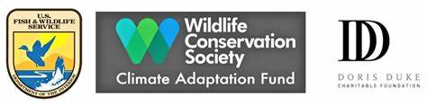 Logo of Wildlife Conservation Society Climate Adaptation Fund