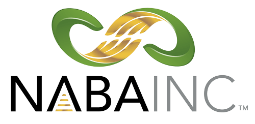 Logo of National Association of Black Accountants