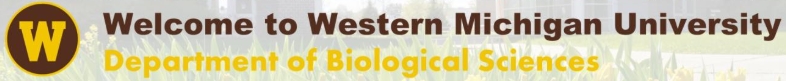 Logo of Western Michigan University - Department of Biological Sciences