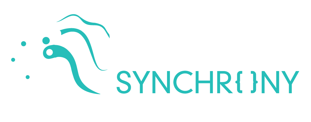 Logo of CYberSynchrony