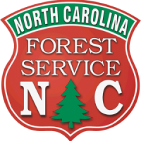 Logo of North Carolina Forest Service