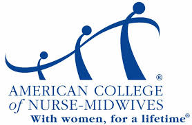 Logo of The Midwife Foundation, Inc.