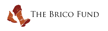 Logo of Brico Fund